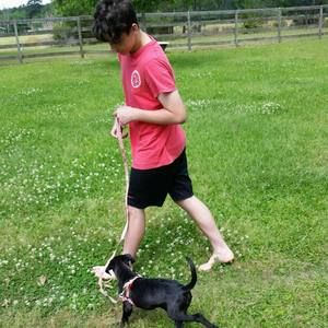 Meet your Posher, Dylan